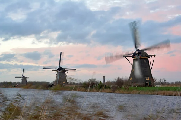 Windmills in sunset — Stock Photo, Image