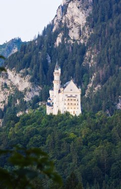 Neuschwanstein Şatosu