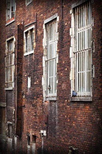 stock image Old and durty brick wall