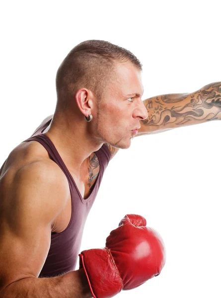 Boxer im Kampf — Stockfoto