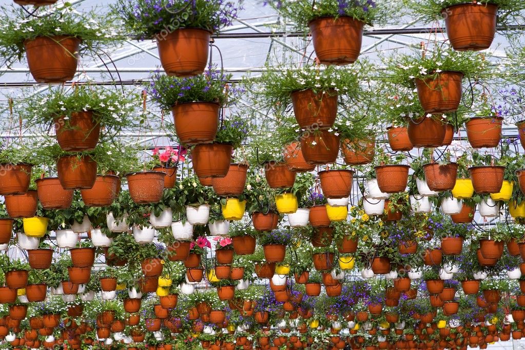 Glasshouse — Stock Photo © pozitivstudija 2410201