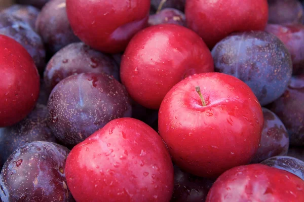 stock image Fruit