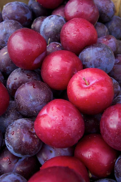 Stock image Fruit