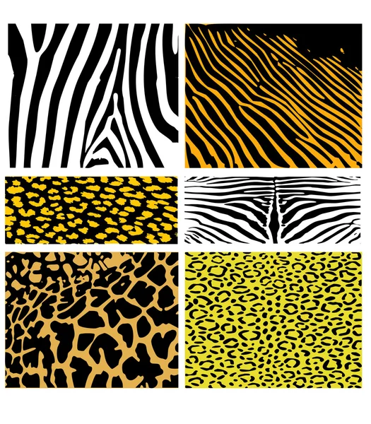 stock image Set of fur