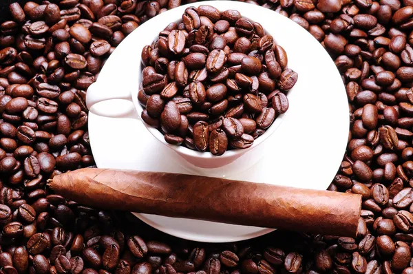 Coffee and cigar on coffee beans — Stock Photo, Image