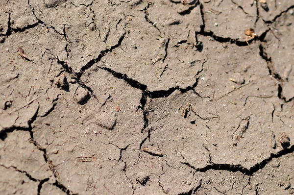 stock image Cracked gray ground