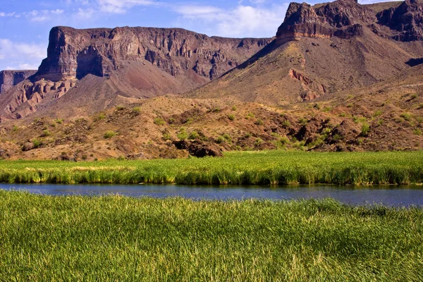 Stock image Arizona Landscape