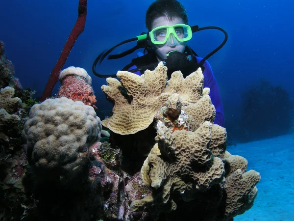 年轻男性潜水员的珊瑚头附近 — 图库照片