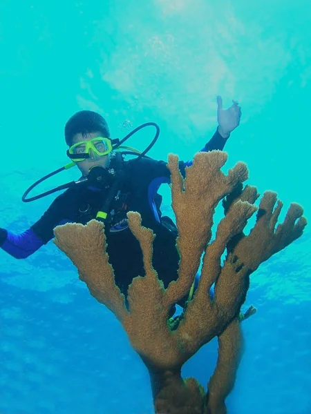Mladý potápěč pózuje v blízkosti korálové formace — Stock fotografie