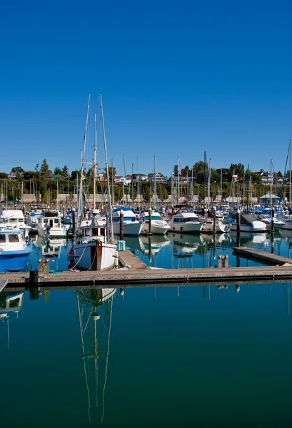 Barcos azules y blancos reflejados en Marina —  Fotos de Stock