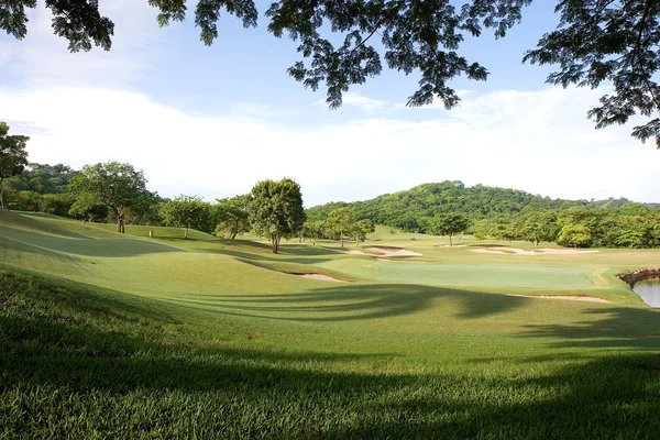 Jungle Golf Course — Stock Photo, Image