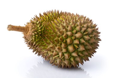 King of fruit, durian. clipart