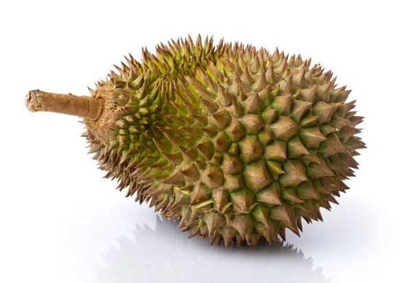 Βασιλιάς της φρούτα, durian赤い表紙のノート. — Φωτογραφία Αρχείου