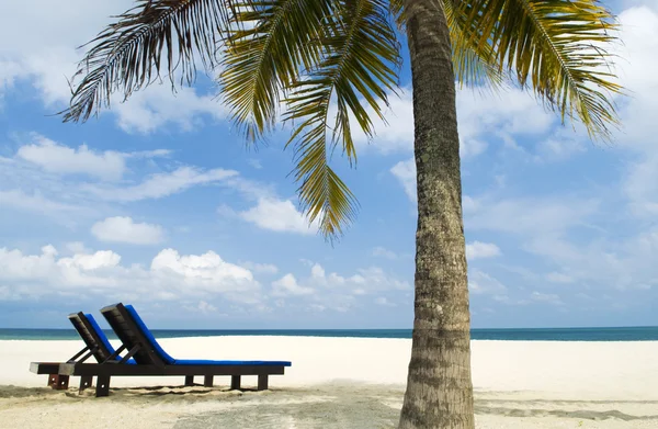 Пляж со стулом — стоковое фото