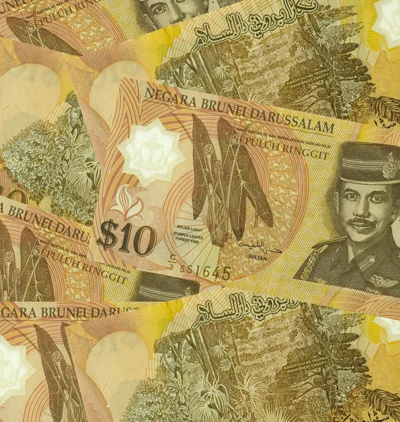 Brunej darussalam měna — Stock fotografie