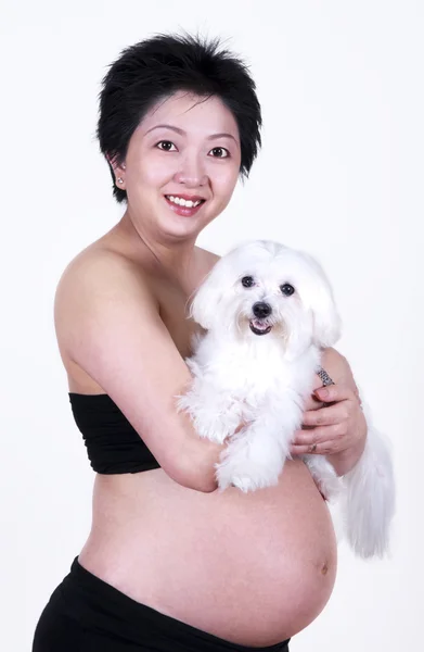 Mulher grávida segurando um cão — Fotografia de Stock