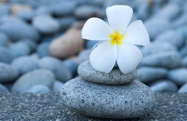 Spa und Wellness. — Stockfoto