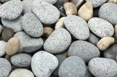 Pebble stone. clipart