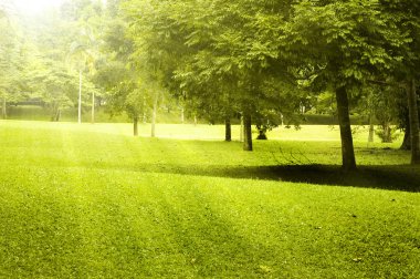 Green field landscape clipart