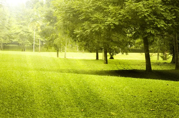 Krajobraz zielonego pola — Zdjęcie stockowe