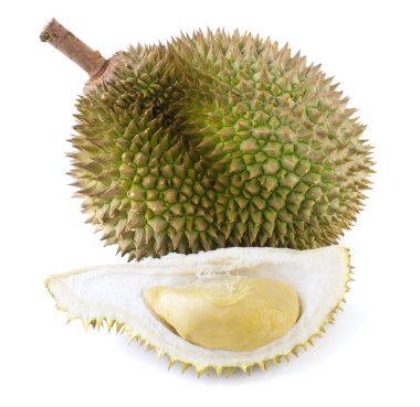 Tropical fruit - Durian clipart