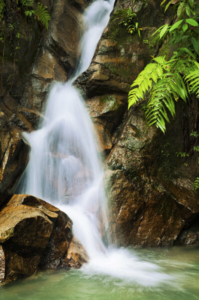 Garden waterfalls.