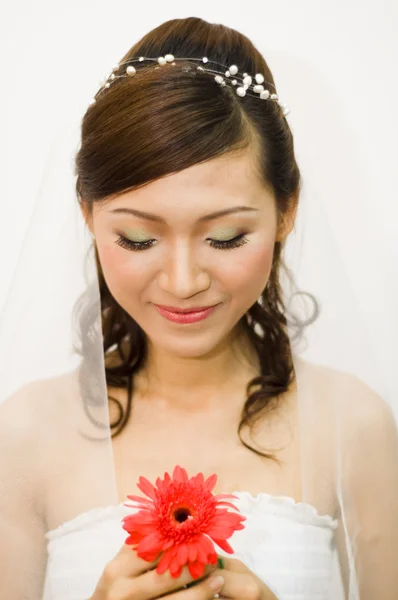 Noiva asiática — Fotografia de Stock