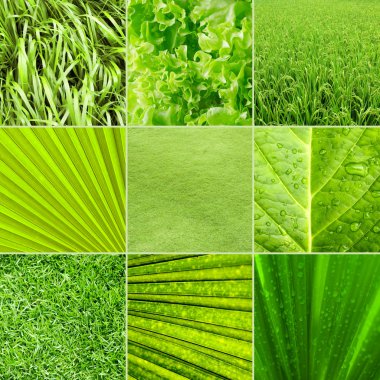 Nature green background clipart