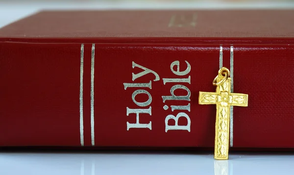红色圣经黄金十字架 — 图库照片