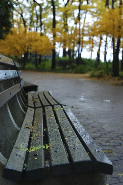 stock image A bench in a park with foliage in Autumn
