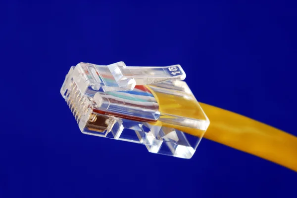 Vue rapprochée du câble Ethernet — Photo