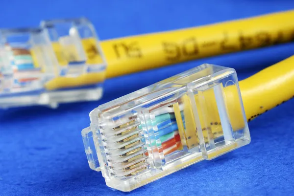 Желтый Ethernet-кабель — стоковое фото