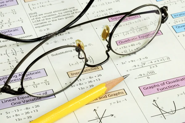 고등학교 수학을 공부하는 모습 — 스톡 사진