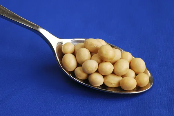 Close up view of a spoonful of soy beans — Stock Photo, Image