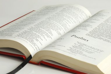 An opened bible clipart