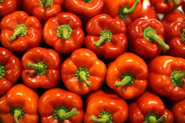 Červené papriky na pozadí — Stock fotografie