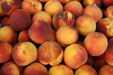 Close-up of juicy ripen peaches clipart