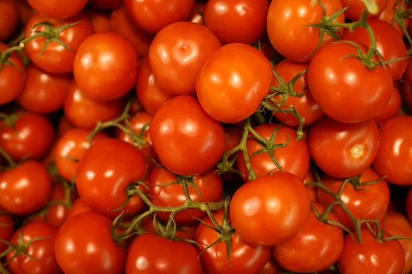 红色西红柿背景 — 图库照片