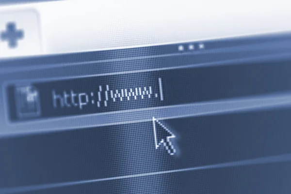 Internet'te url ile bazı kopya alanı