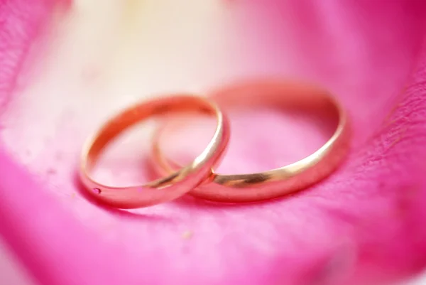 His/ hers wedding rings — Stock Photo, Image
