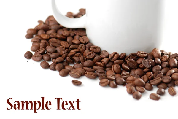 stock image Coffee bean