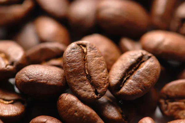 Coffee bean Stock Photo