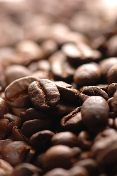 stock image Coffee bean