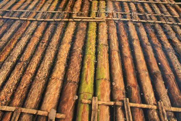 Bambu sal — Stok fotoğraf