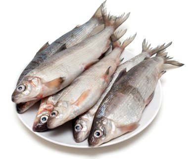 Fresh fish whitefish on plate clipart