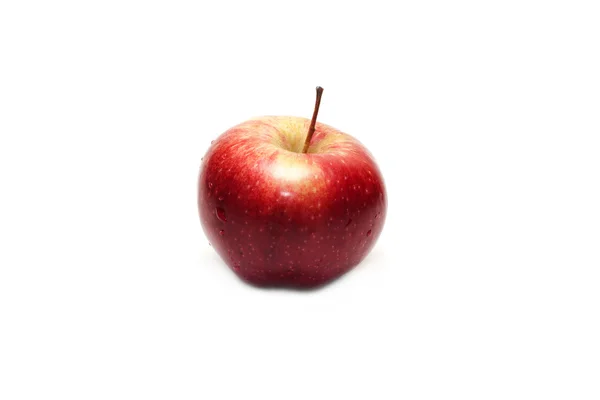 Rött äpple 2 — Stockfoto