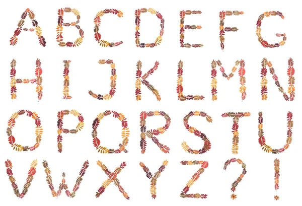 Alphabet from autumn sheet — Stock Photo, Image