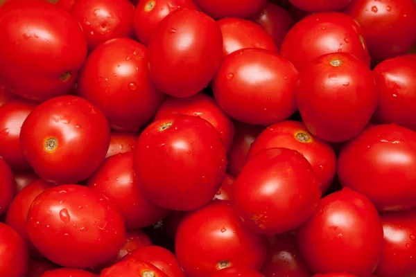 stock image Red tomatoes by background