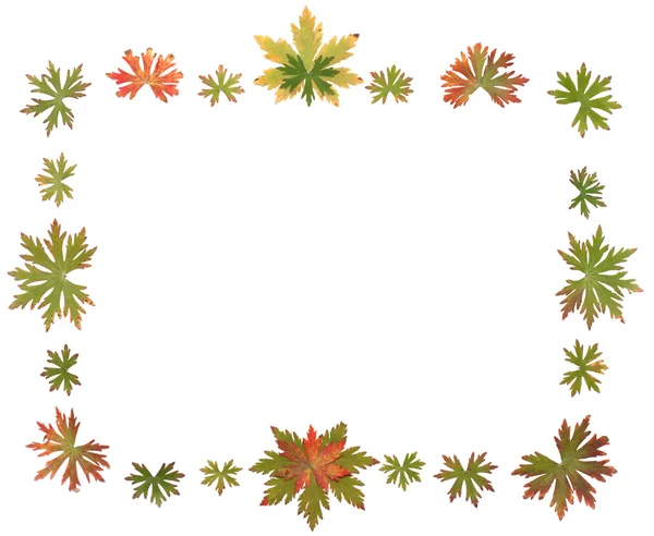 Frame put from autumn sheet — Stock Photo, Image
