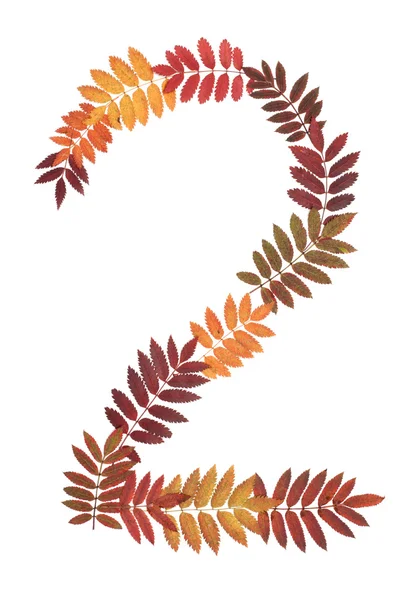 Numeral two 2 put from autumn sheet — Stock Photo, Image
